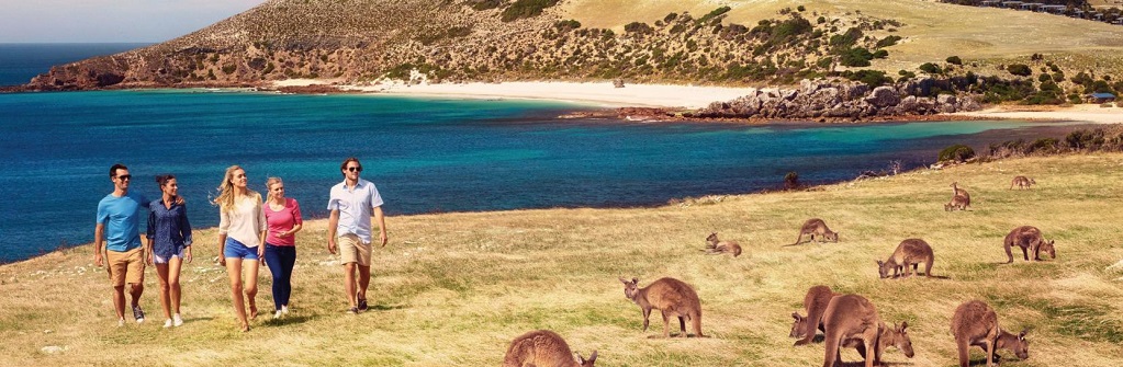 Top 7 Places to Visit in Australia