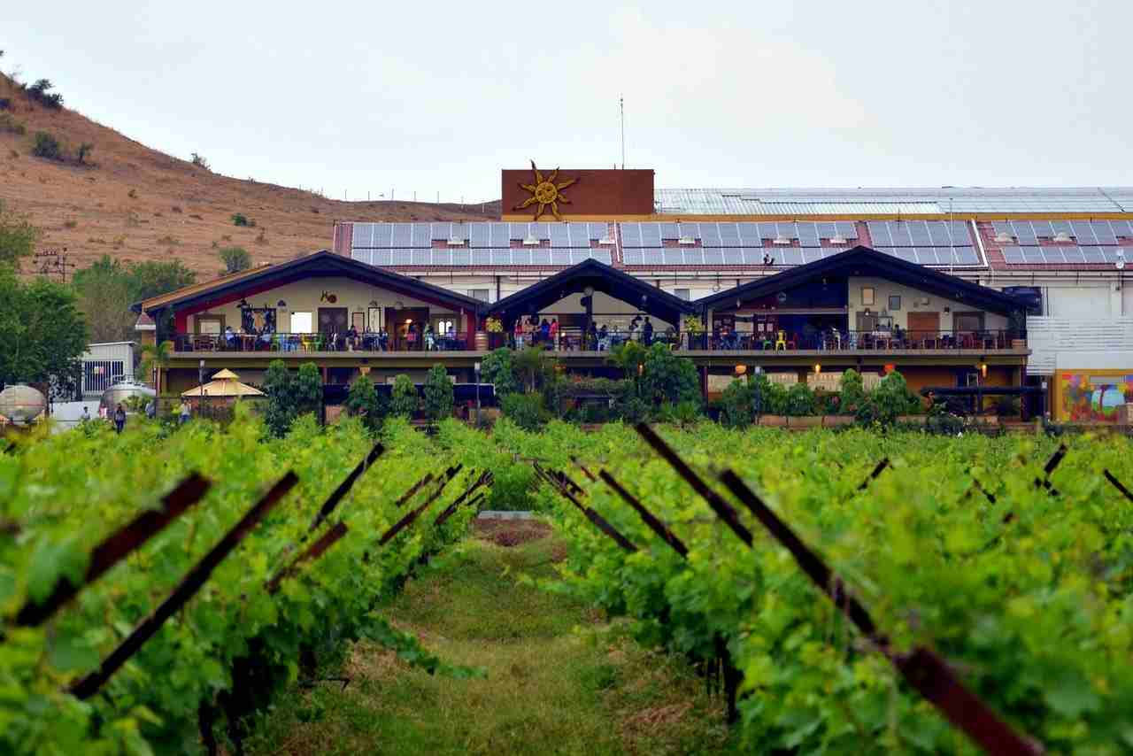 Wine tour packages