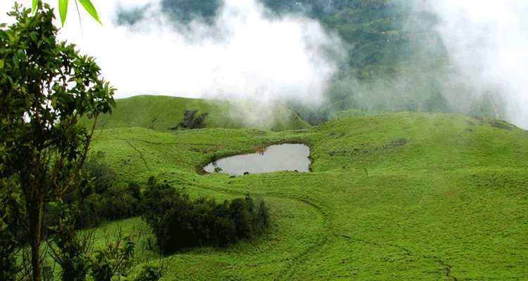Wayanad Getaway