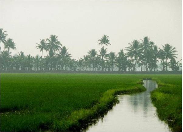Enthralling Kerala