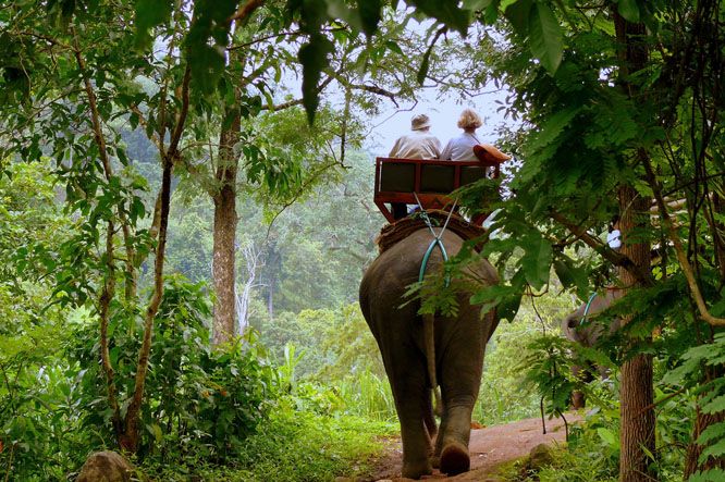 Thekkady Escape