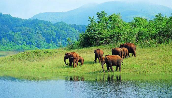 Thekkady Escape